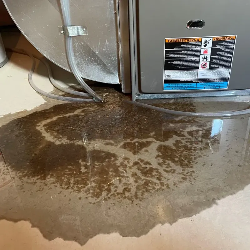 Pipe Burst and Leak Restoration in Laredo, TX