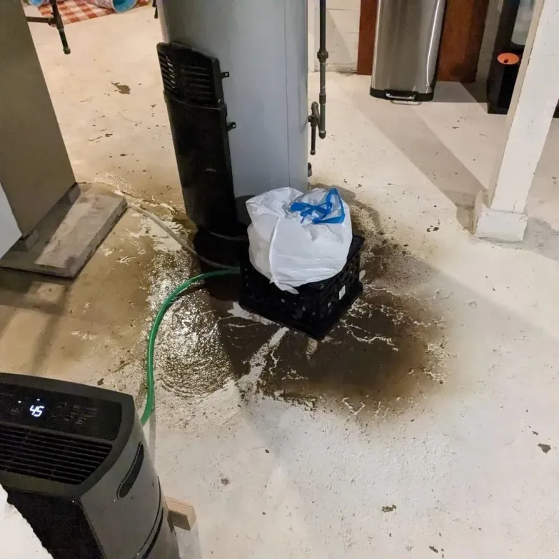 Sewage Backup Cleanup Service in Laredo, TX